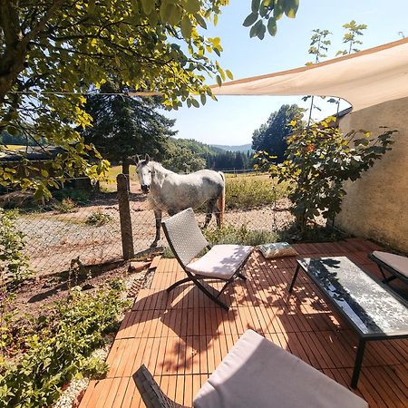 2 Zimmer Wohnung Mit Traumhaftem Blick In Die Natur Neustadt bei Coburg Buitenkant foto